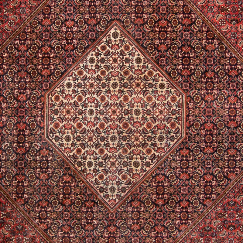 Perserteppich - Bidjar - 350 x 250 cm - rot