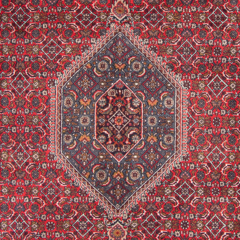 Orientteppich - Bidjar - Indus - 338 x 251 cm - rot