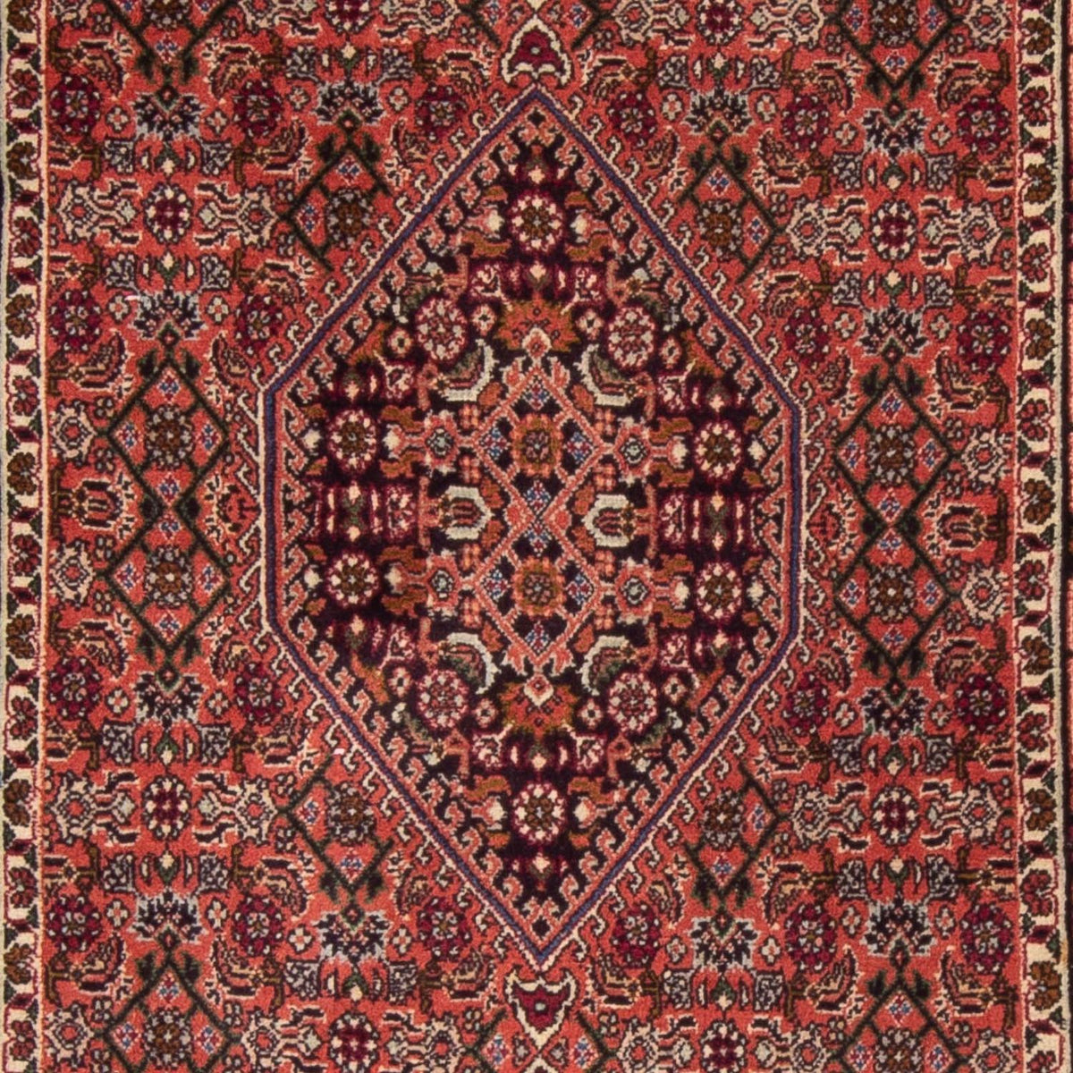Perserteppich - Bidjar 205 x 76 cm