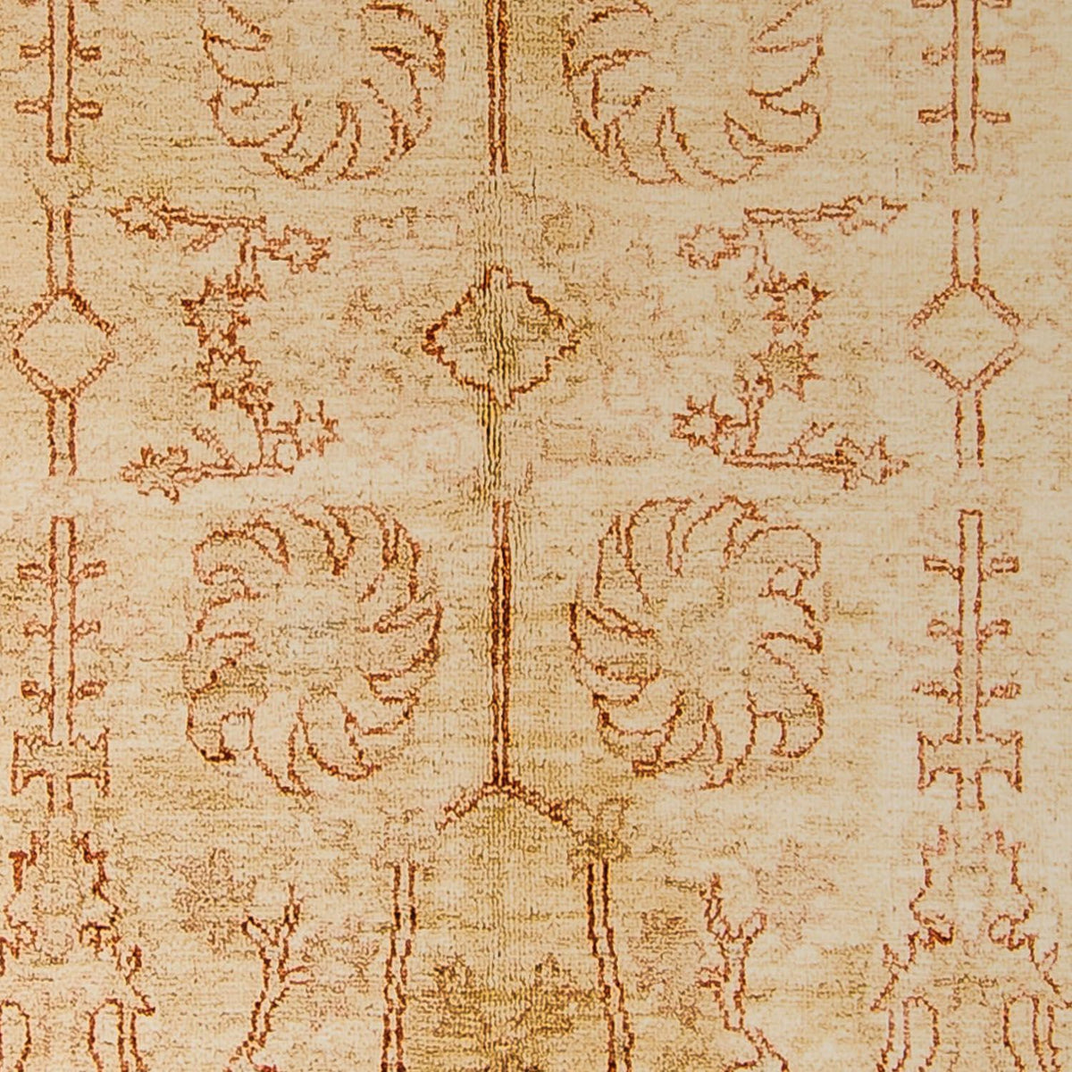 Ziegler Teppich 247 x 173 cm