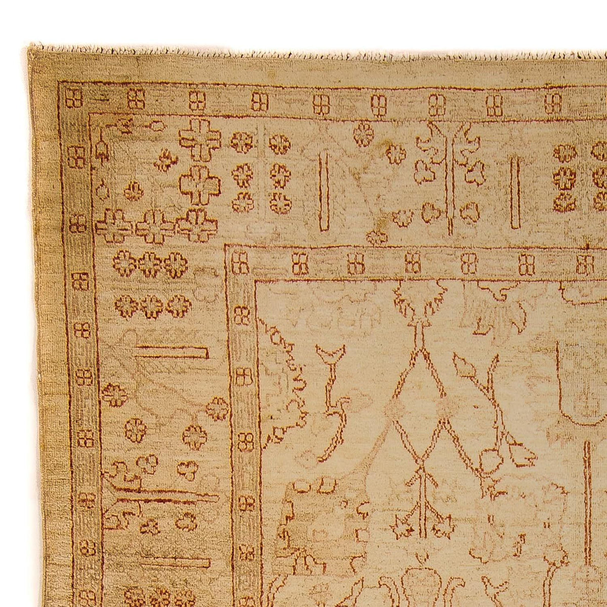 Ziegler Teppich 247 x 173 cm