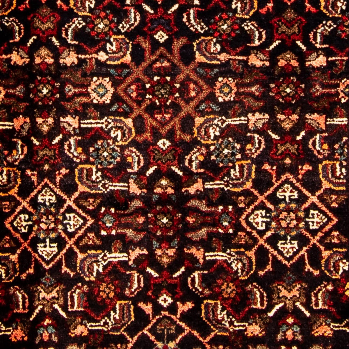 Perserteppich - Nomadic 228 x 100 cm