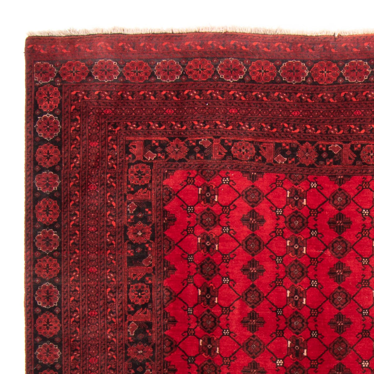 Turkaman Teppich - 257 x 178 cm - rot