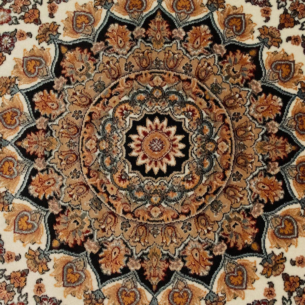 CR5-M101-225x150O