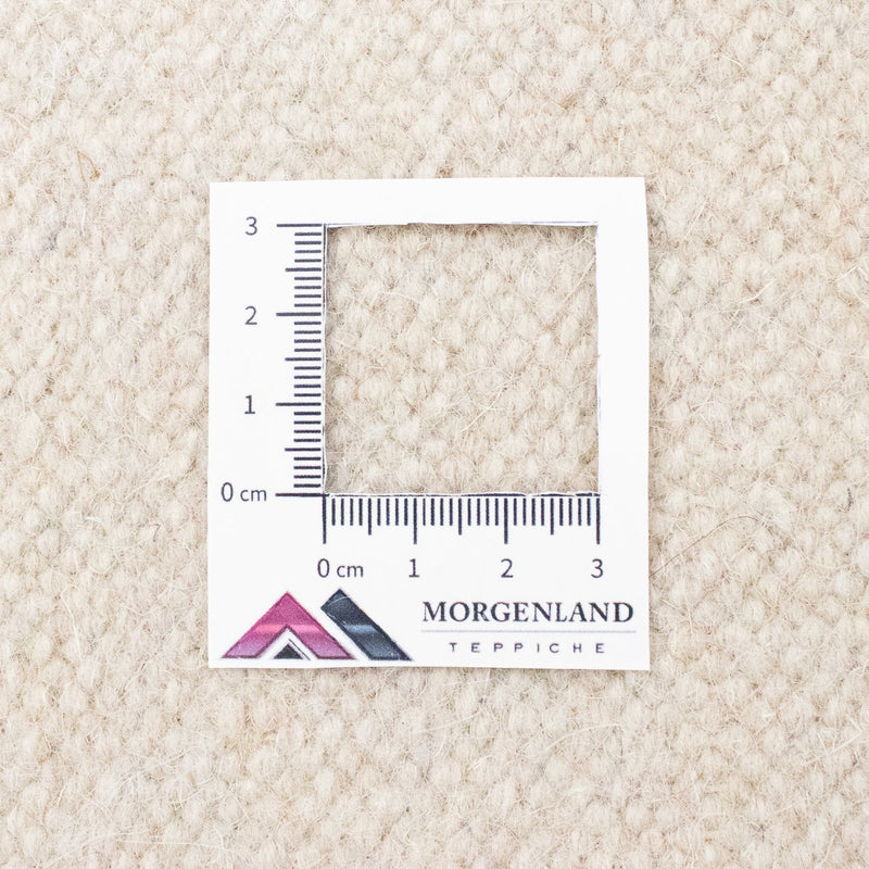 Kelim Teppich - Trendy 300 x 200 cm - beige