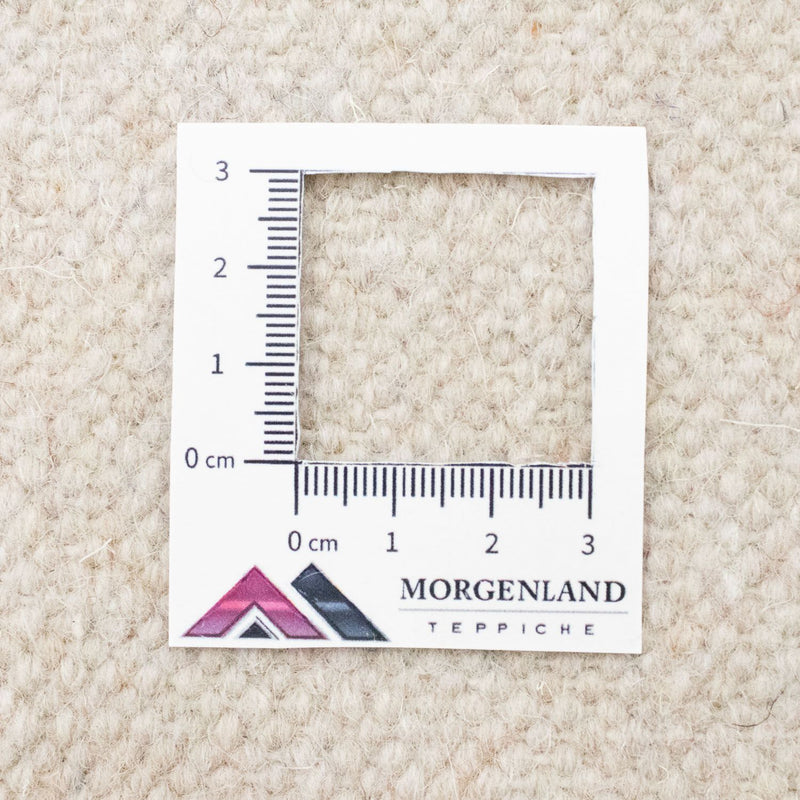 Kelim Teppich - Trendy 300 x 200 cm - beige