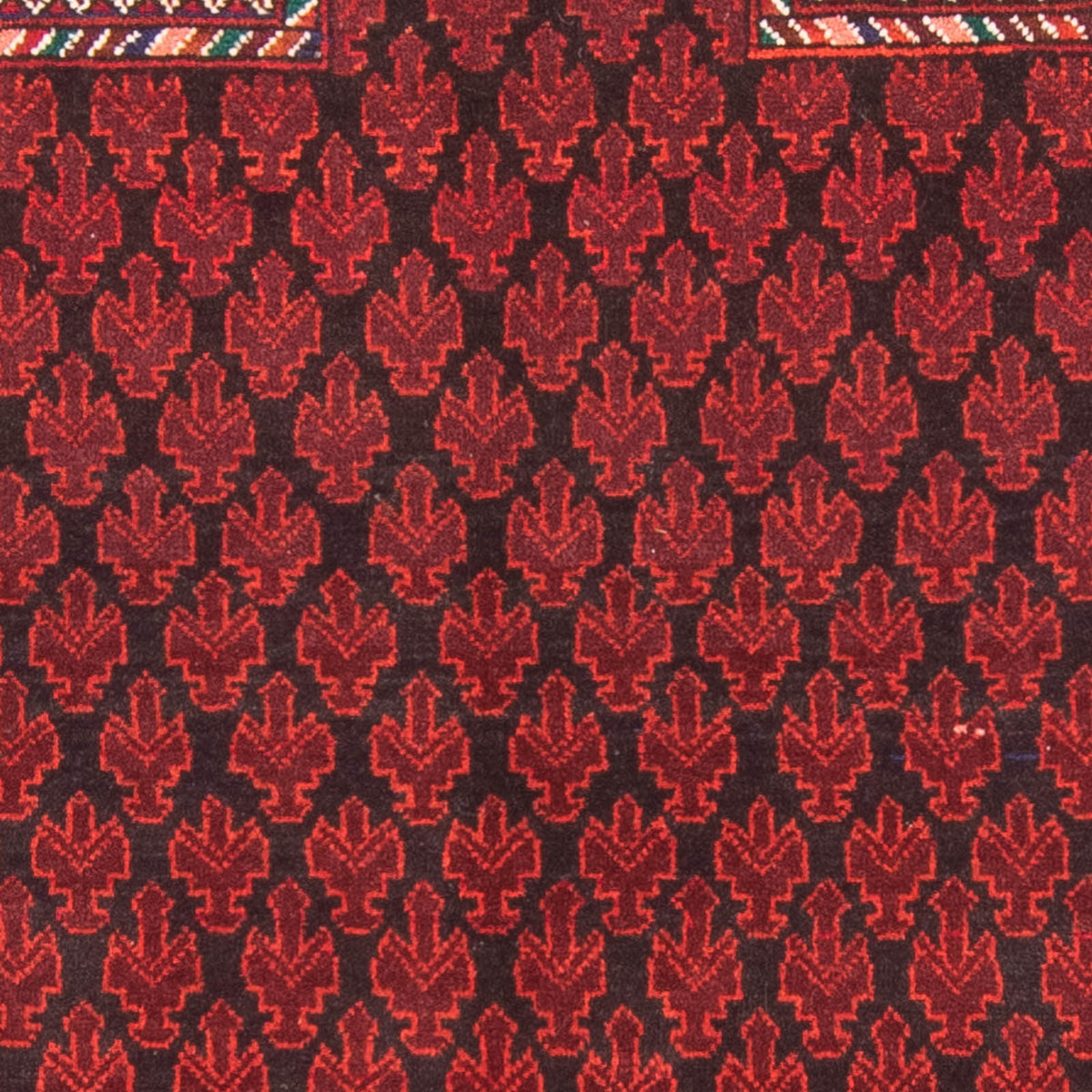Belutsch Teppich - Gebetsteppich - 155 x 103 cm - rot