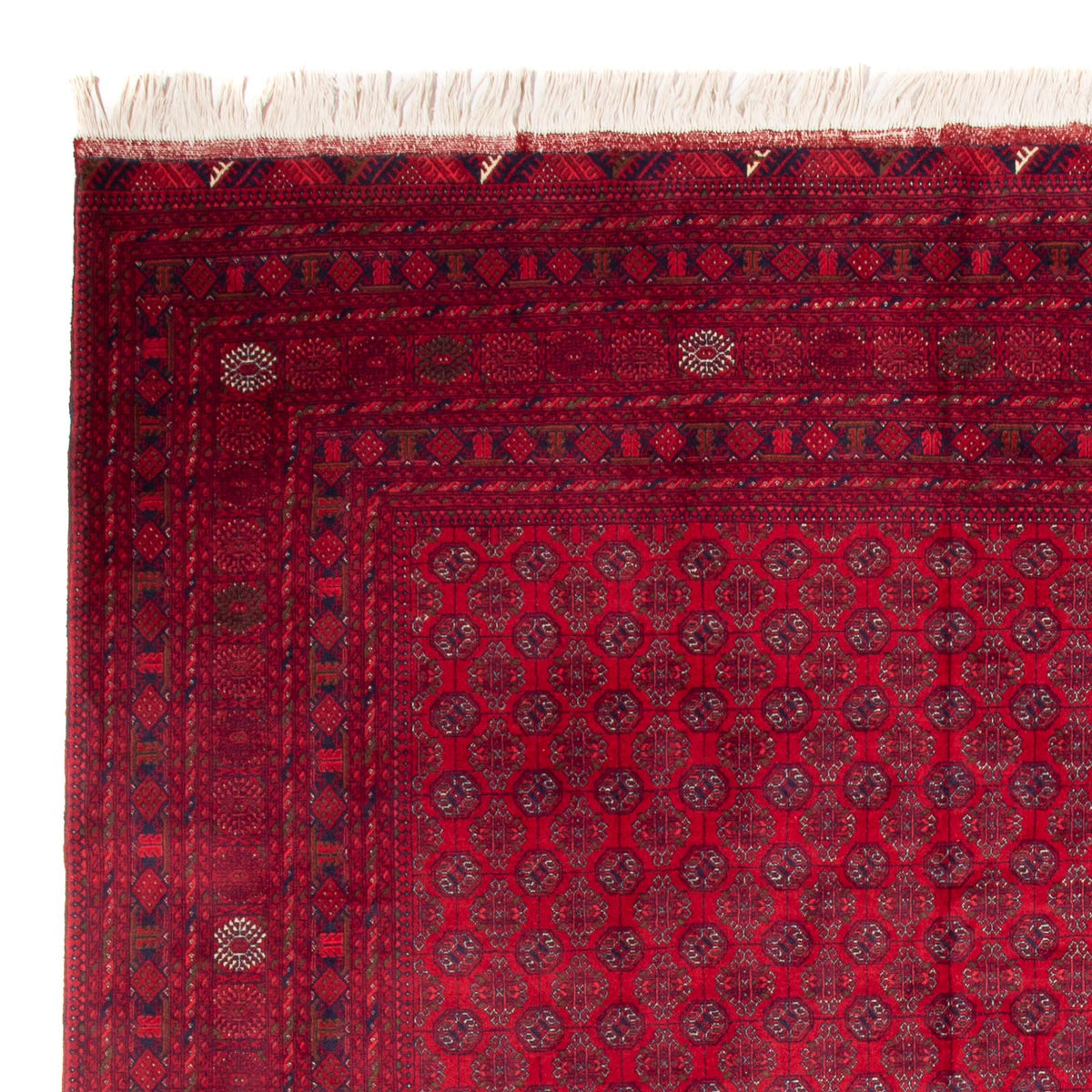 Afghan Teppich - Buchara - 340 x 240 cm - rot