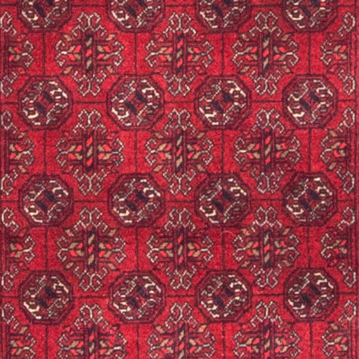 Läufer Afghan - Buchara - 290 x 80 cm - rot