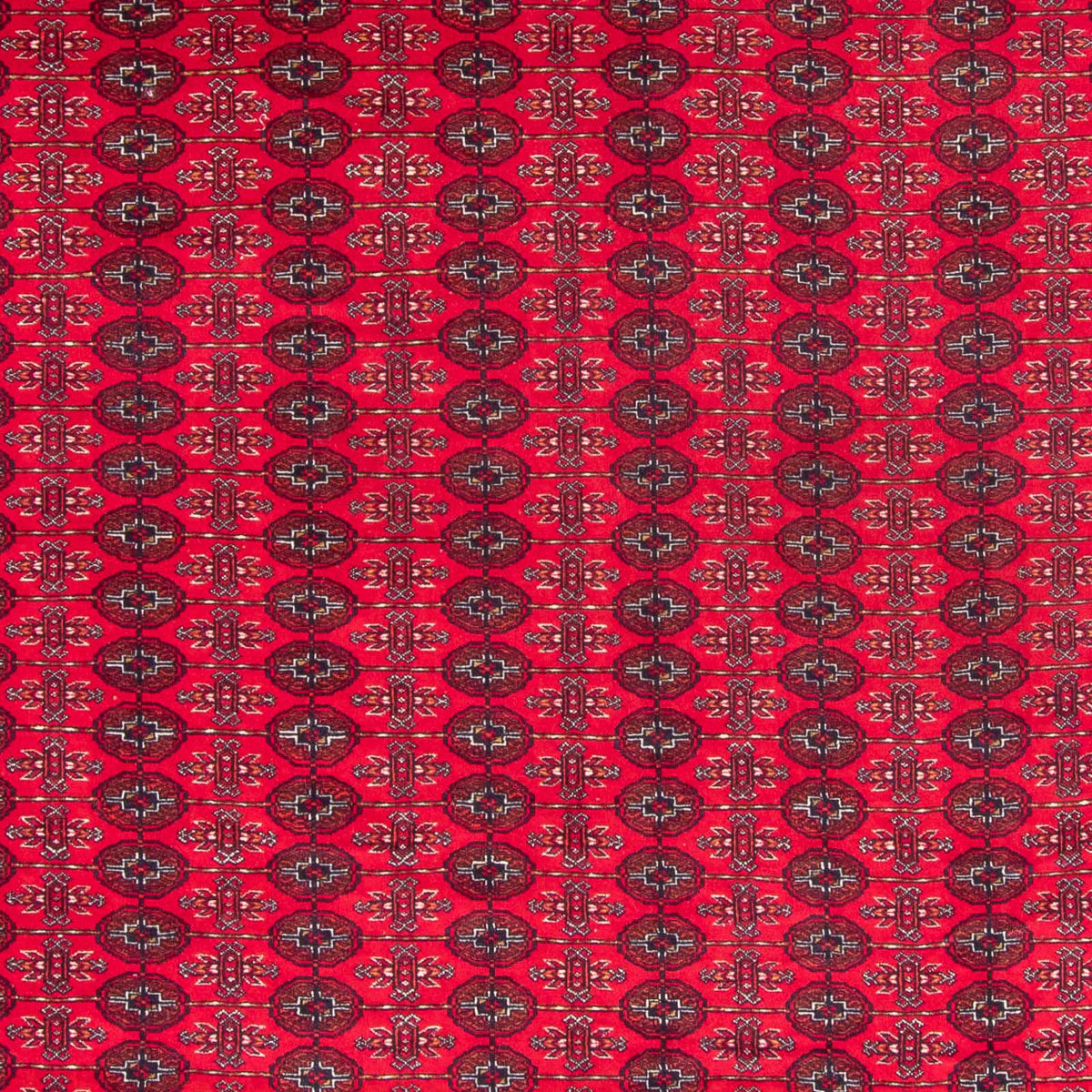 Afghan Teppich - Buchara - 370 x 300 cm - rot