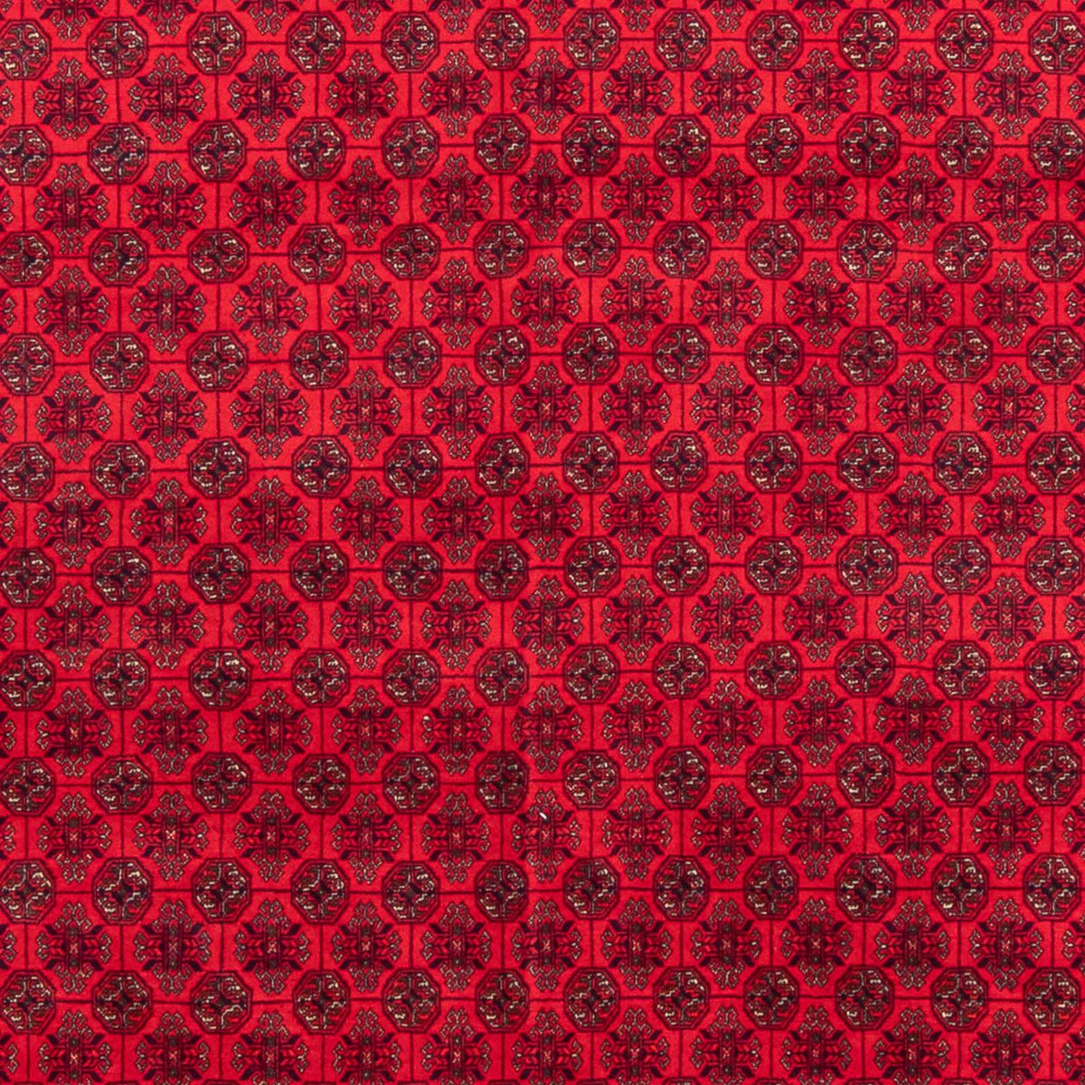 Afghan Teppich - 295 x 194 cm - rot
