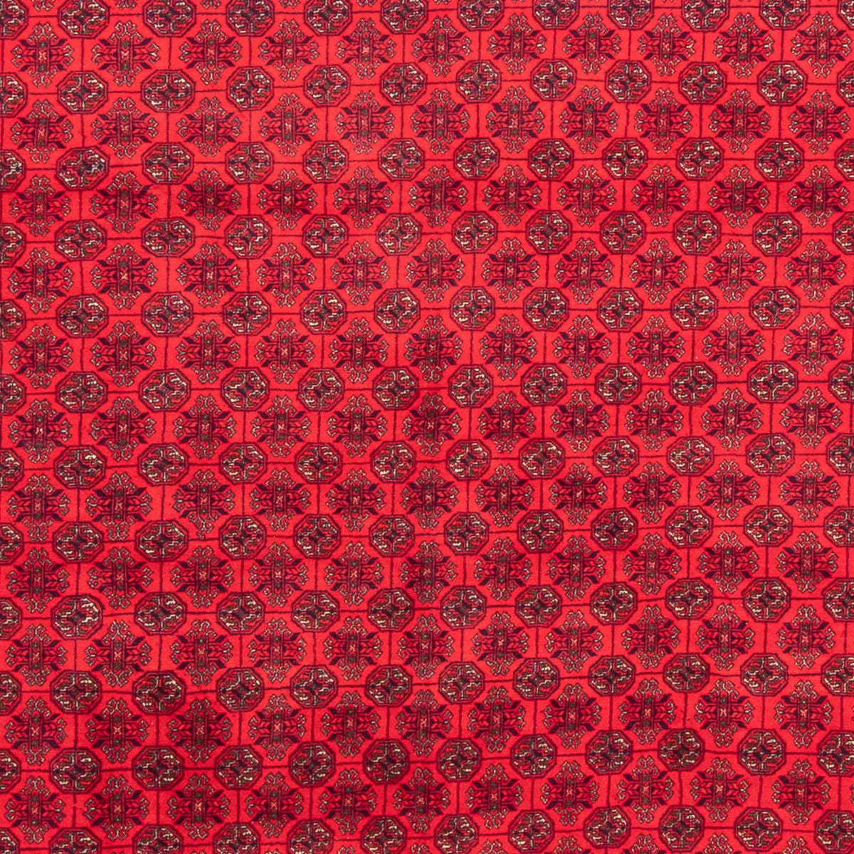 Afghan Teppich - 289 x 200 cm - rot