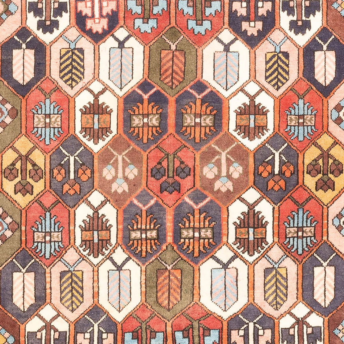 Perserteppich - Nomadic - 305 x 215 cm - mehrfarbig