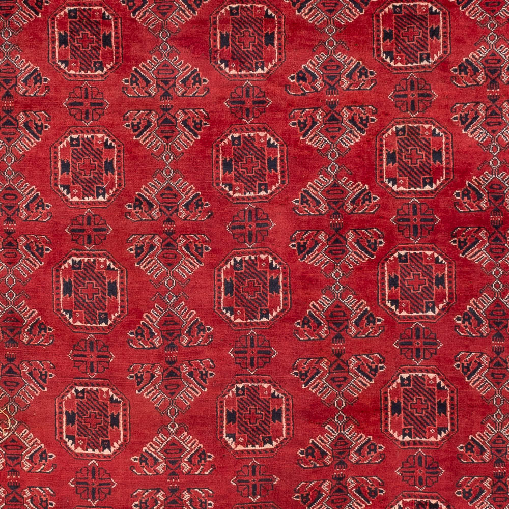 Afghan Teppich - 275 x 203 cm - rot