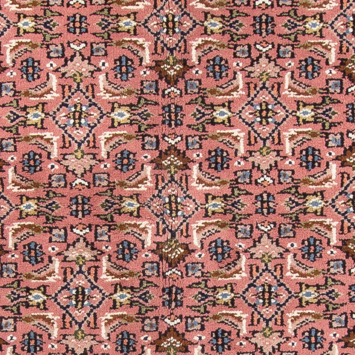 Orientteppich - Bidjar - Indus - 240 x 170 cm - lachs