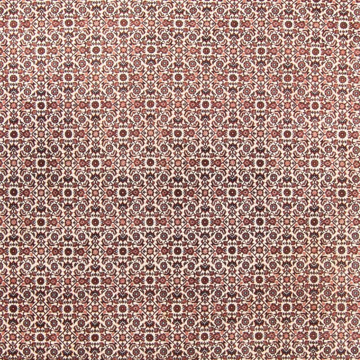 Perserteppich - Bidjar - 340 x 250 cm - beige