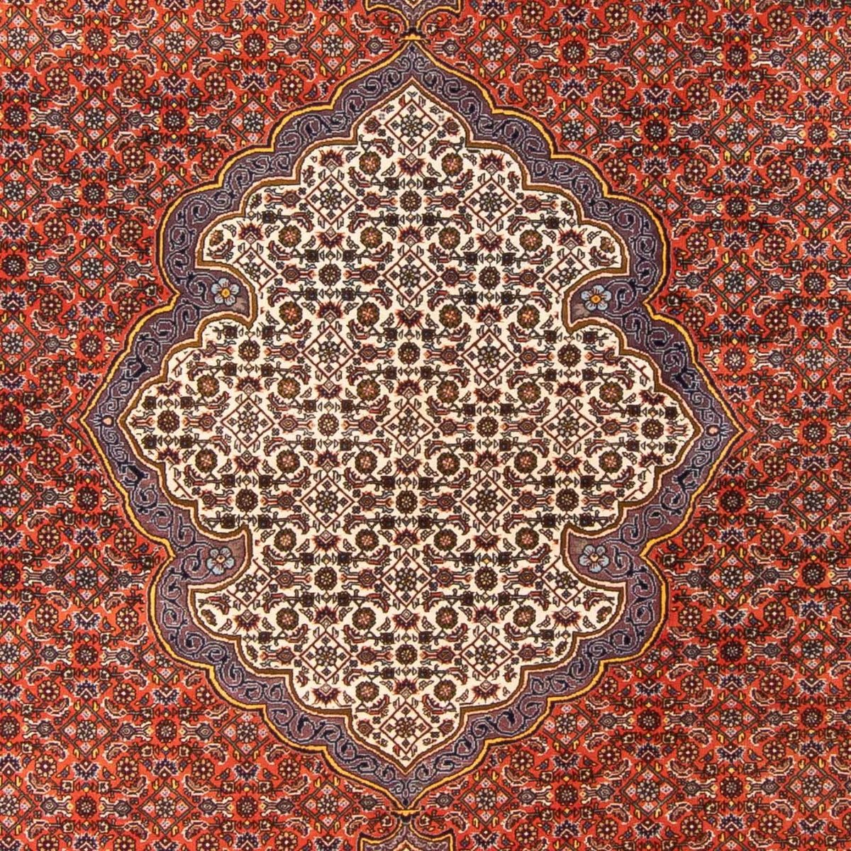 Perserteppich - Bidjar - 312 x 205 cm - orange