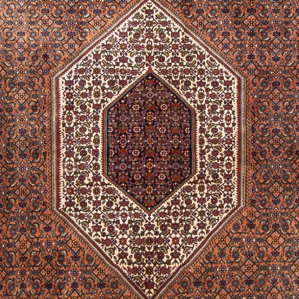 Perserteppich - Bidjar - 305 x 210 cm - braun