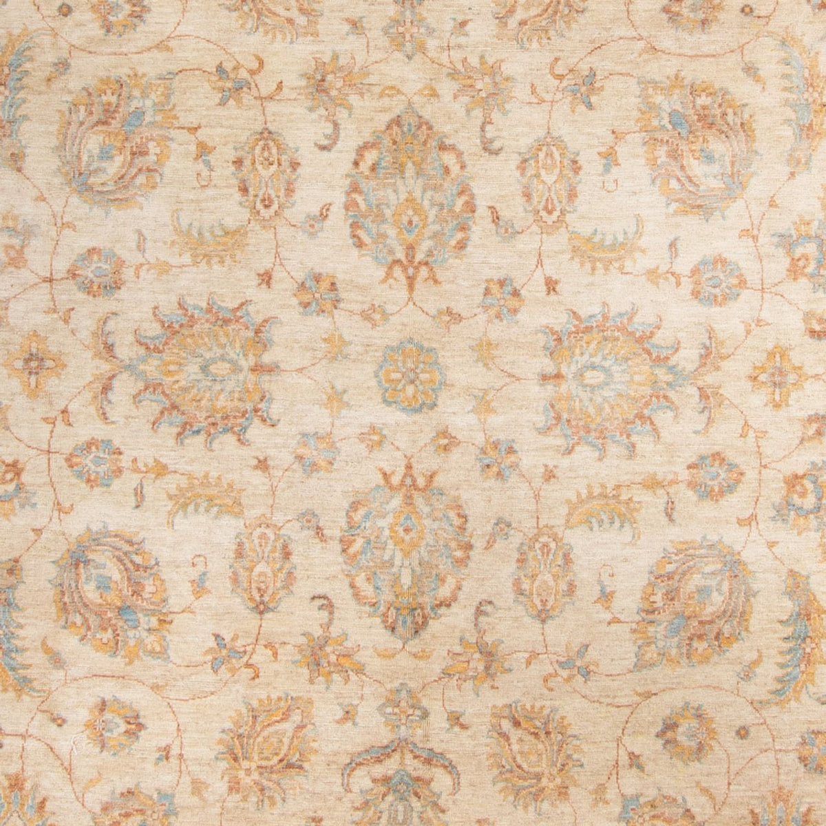 Ziegler Teppich - 330 x 247 cm - beige
