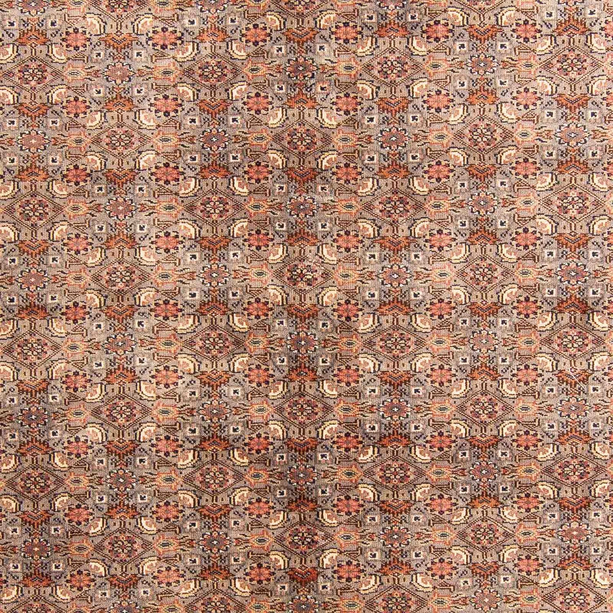 Orientteppich - Bidjar - Indus 233 x 181 cm