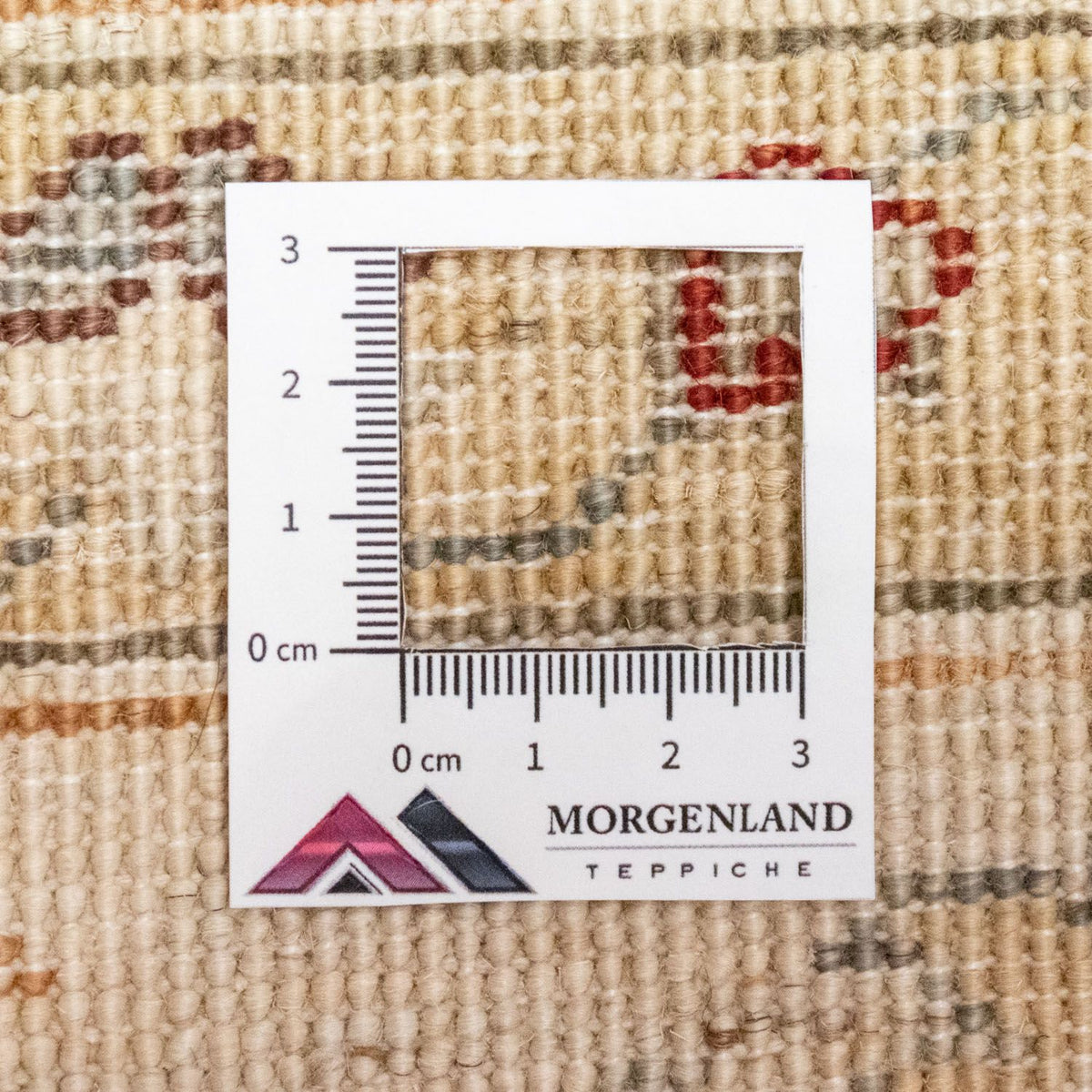 Ziegler Teppich 249 x 174 cm - beige