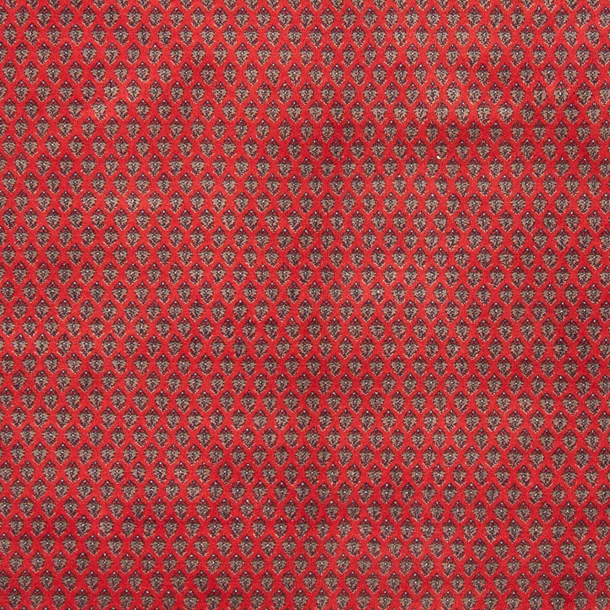 Orientteppich - Mir - Indus 239 x 173 cm