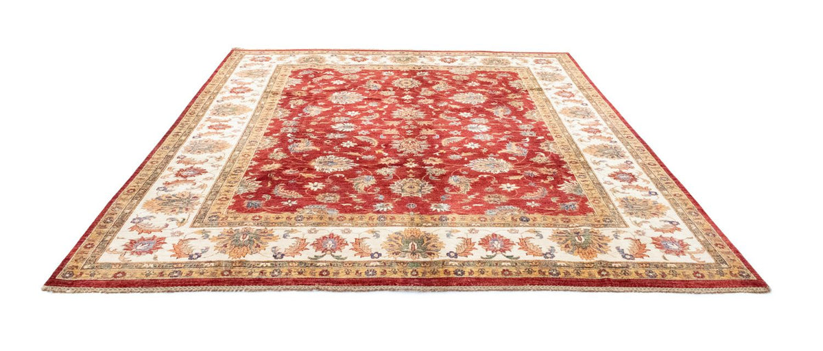 Ziegler Teppich 301 x 253 cm