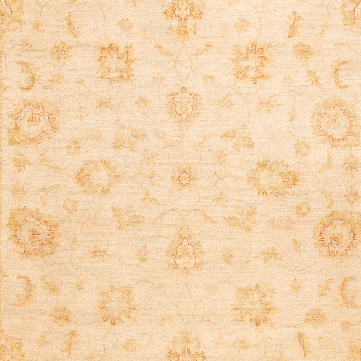 Ziegler Teppich - 350 x 253 cm - beige