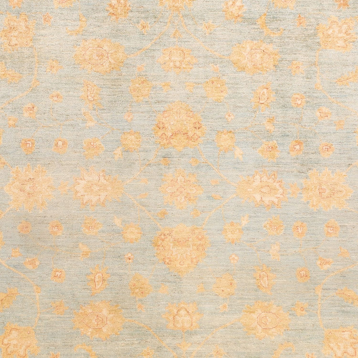 Ziegler Teppich - 342 x 257 cm - hellblau