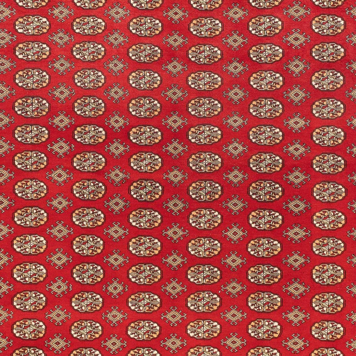 Afghan Teppich - Buchara - 418 x 310 cm - hellrot