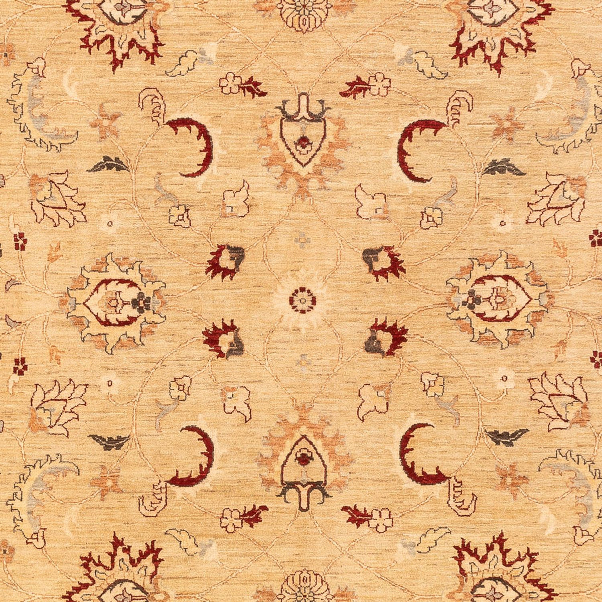Ziegler Teppich - 383 x 271 cm - beige