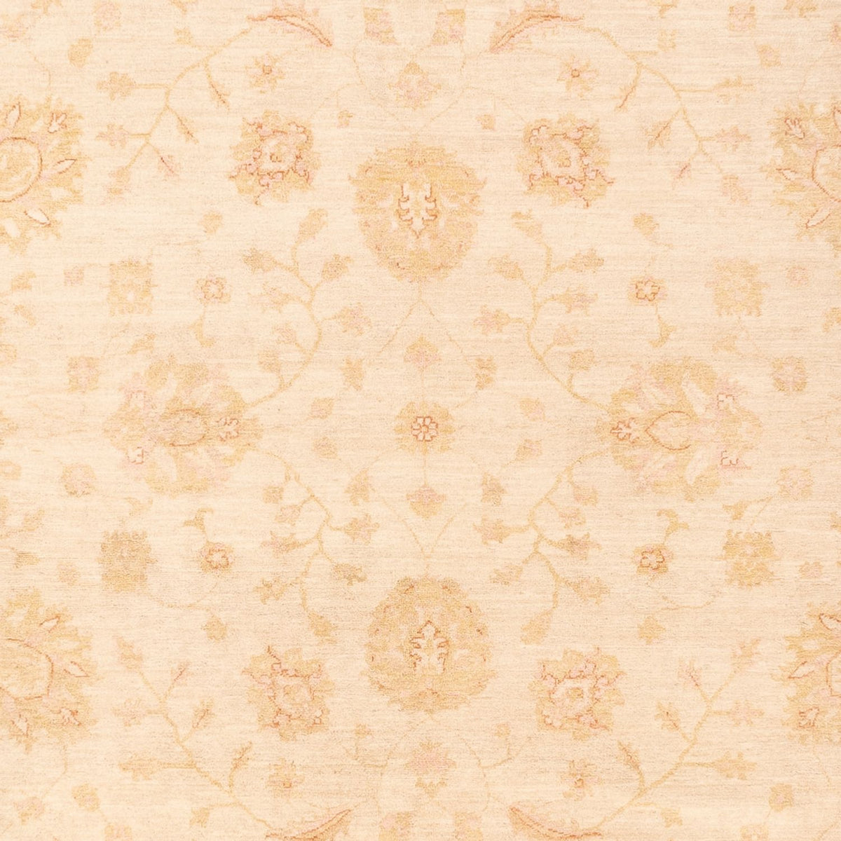Ziegler Teppich - 365 x 270 cm - beige