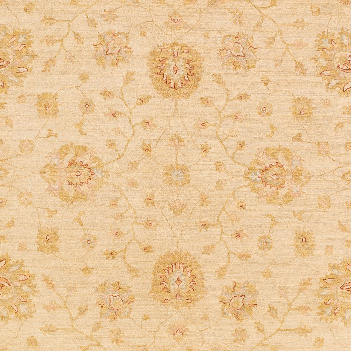 Ziegler Teppich - 365 x 273 cm - beige