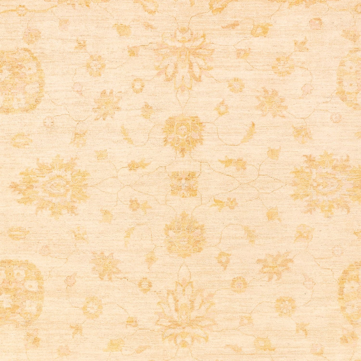 Ziegler Teppich - 367 x 270 cm - beige