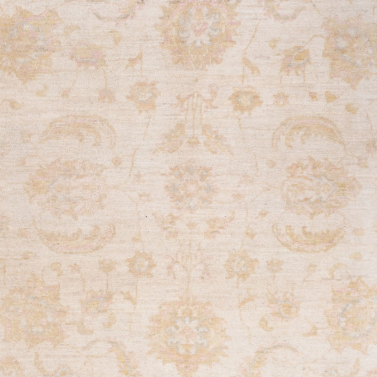 Ziegler Teppich - 240 x 162 cm - creme