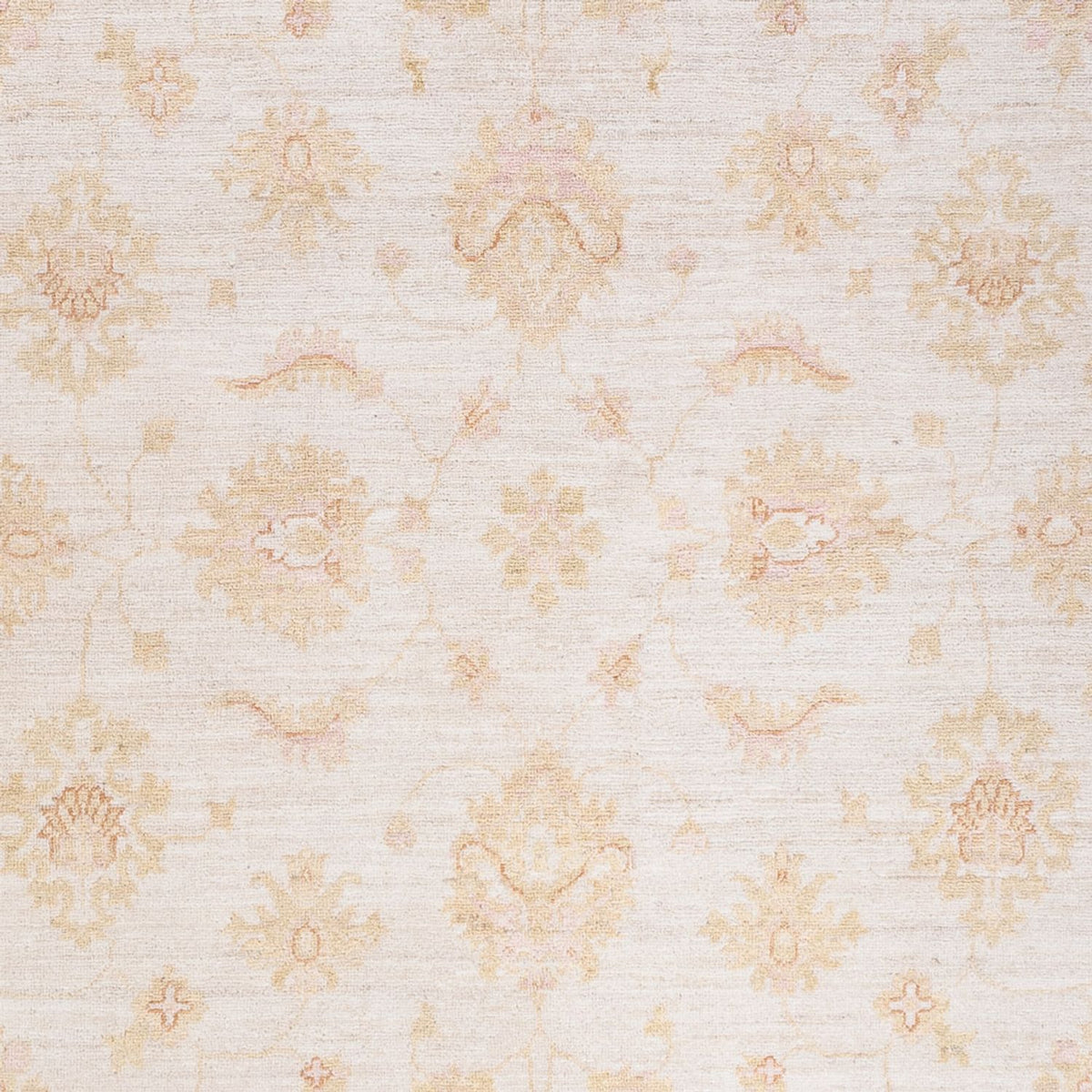 Ziegler Teppich - 248 x 175 cm - creme
