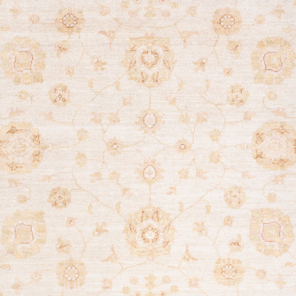 Ziegler Teppich - 240 x 171 cm - creme