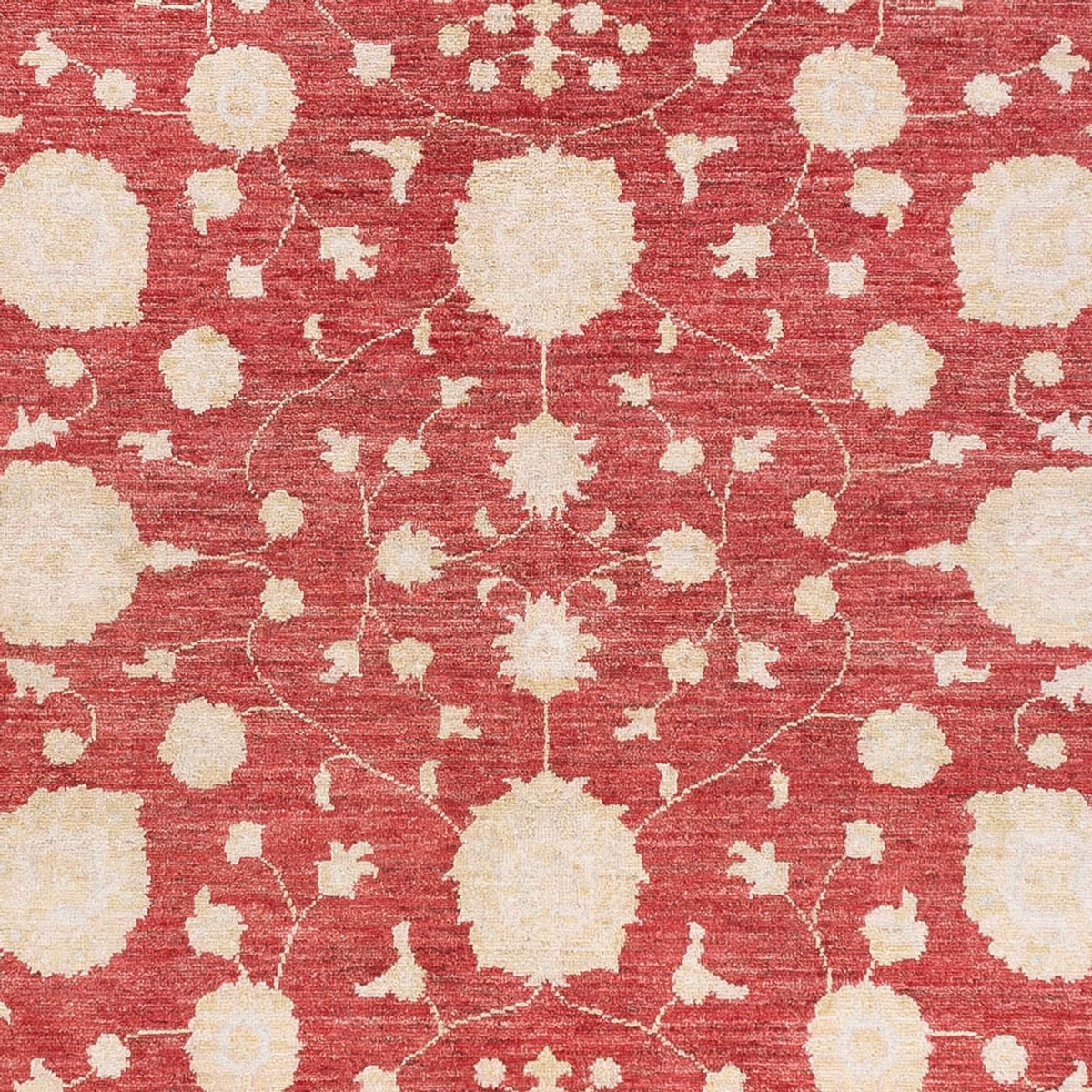 Ziegler Teppich - 240 x 175 cm - rot