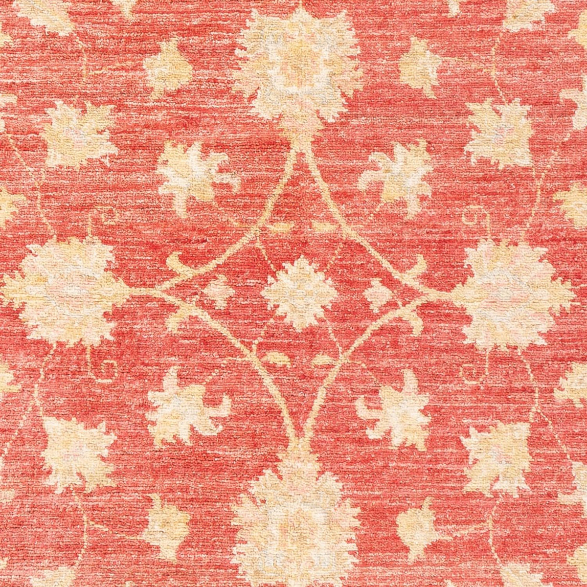 Ziegler Teppich - 176 x 116 cm - rot