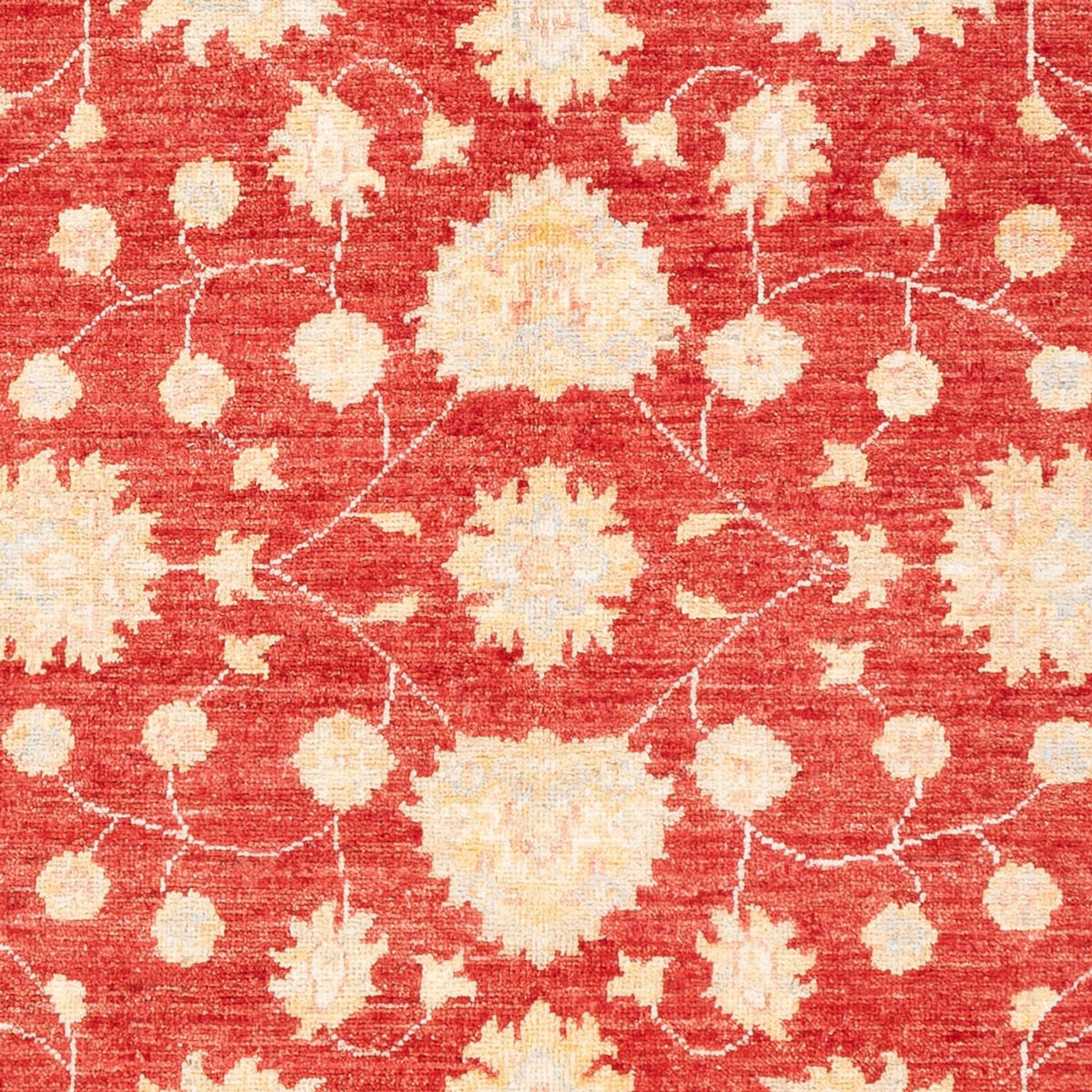 Ziegler Teppich - 177 x 126 cm - rot