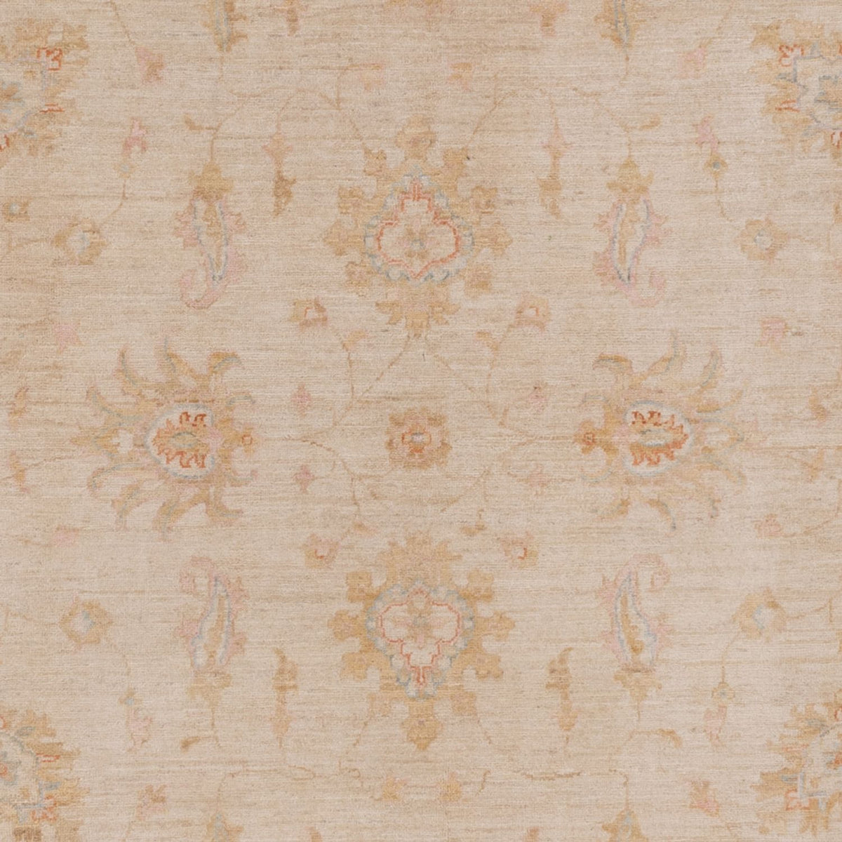 Ziegler Teppich - 296 x 200 cm - beige
