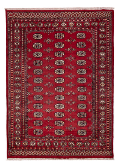 Pakistan Teppich 171x240cm - Orientteppich
