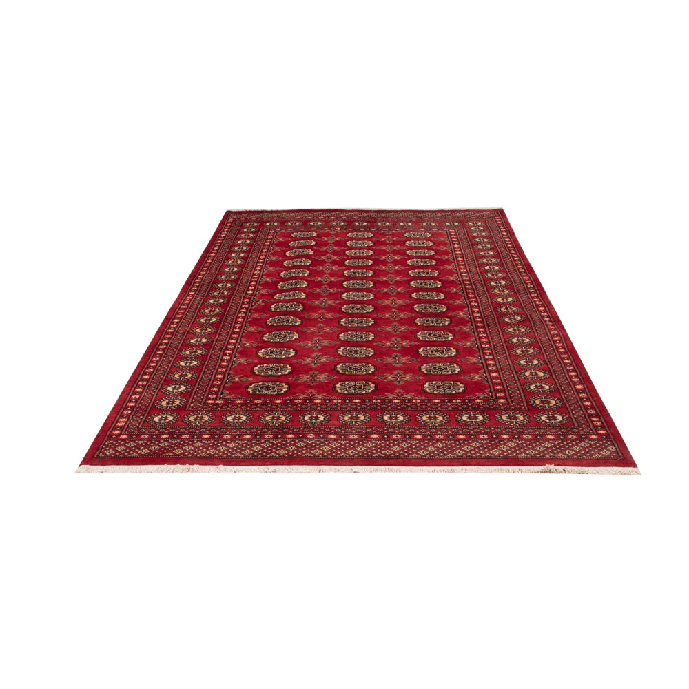 Pakistan Teppich - 250 x 159 cm - rot