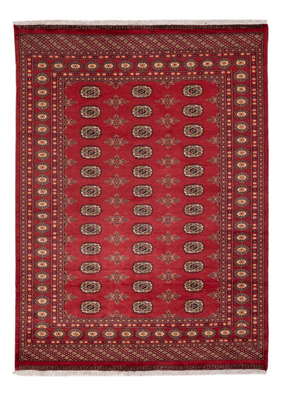 Pakistan Teppich 173x241cm - Orientteppich