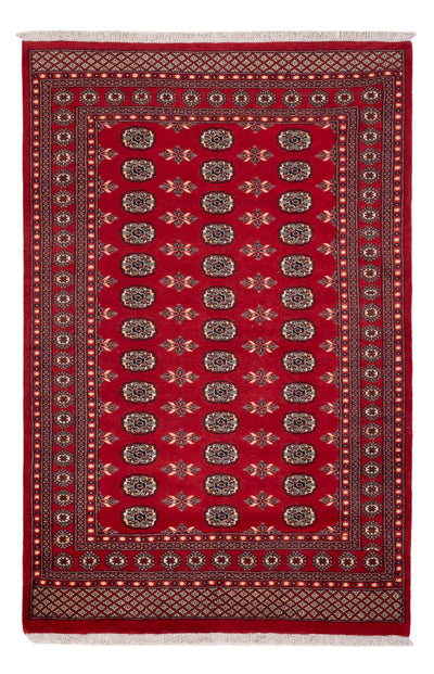 Pakistan Teppich 179x258cm - Orientteppich