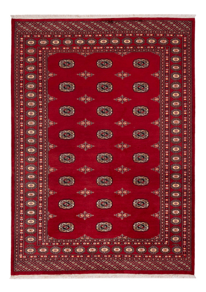 Pakistan Teppich - 236 x 171 cm - rot