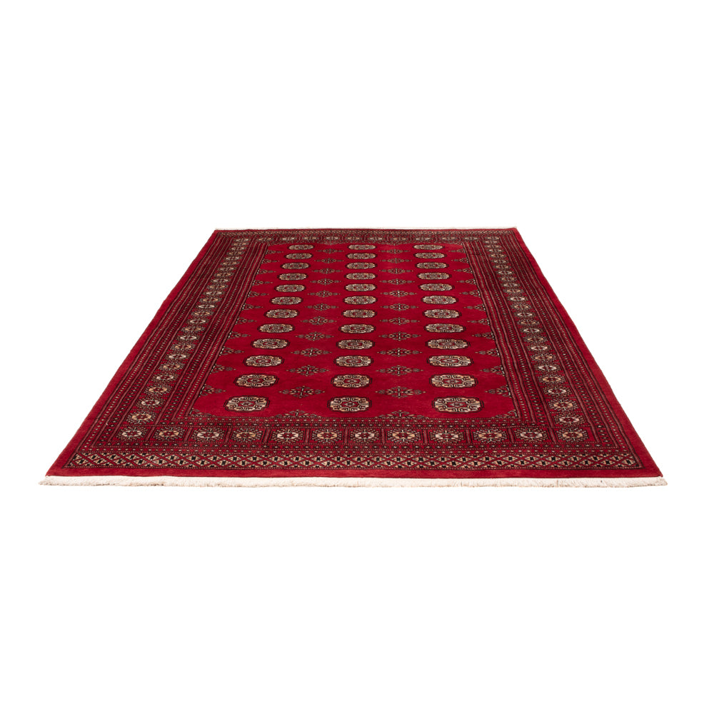 Pakistan Teppich - 249 x 167 cm - rot