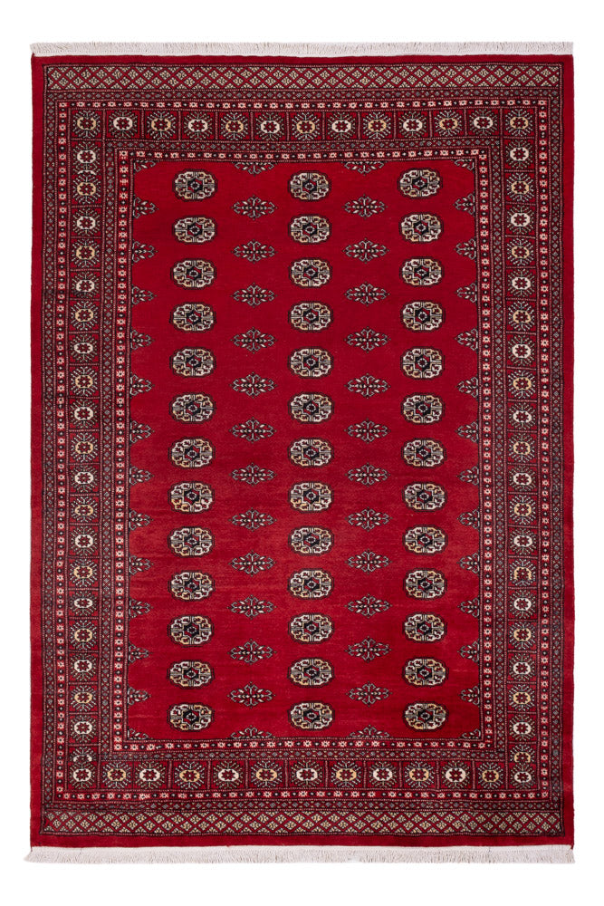 Pakistan Teppich - 239 x 164 cm - rot