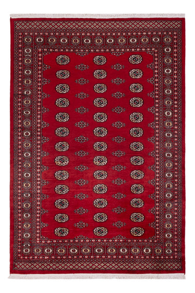 Pakistan Teppich 164x239cm - Orientteppich