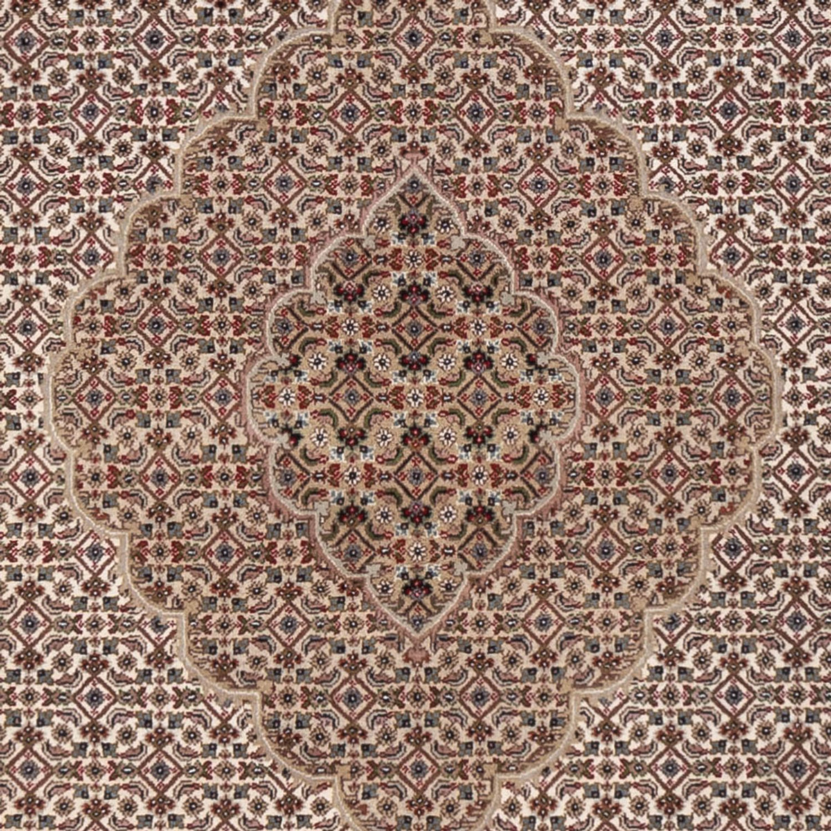 Orientteppich - Täbriz - 304 x 249 cm - dunkelbeige
